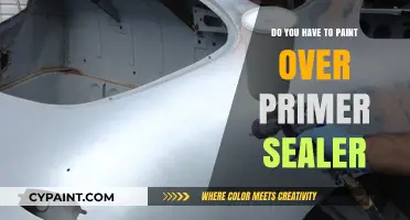 Painting Over Primer Sealer: Essential or Optional? Expert Tips Revealed