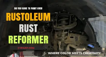 Rust Reformer: To Paint or Not to Paint?