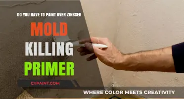 Painting Over Zinsser Mold Killing Primer: Essential Tips and Best Practices