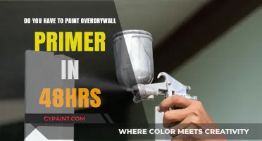 Primer and Drywall: The 48-Hour Rush Rule