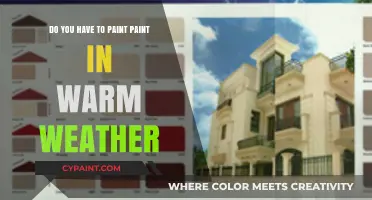 Best Weather for Painting: Warm and Sunny