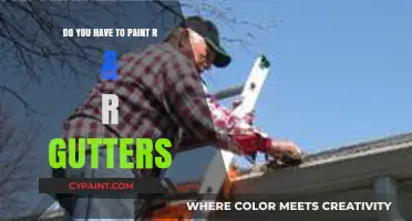 Painting R&R Gutters: Essential Maintenance or Optional Upgrade?
