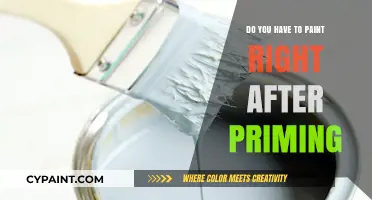 Should You Paint Immediately After Priming? Timing Tips for Perfect Results