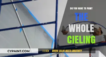 Painting Your Ceiling: Full Coverage or Partial Refresh? Expert Tips