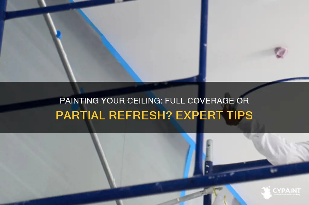 do you have to paint the whole cieling