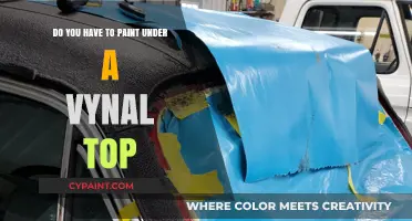 Vinyl Roofs: Paint or No Paint?