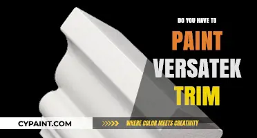 Versatek Trim Painting: Essential or Optional? Expert Tips and Advice