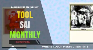 Is Paint Tool SAI a Monthly Subscription or One-Time Purchase?