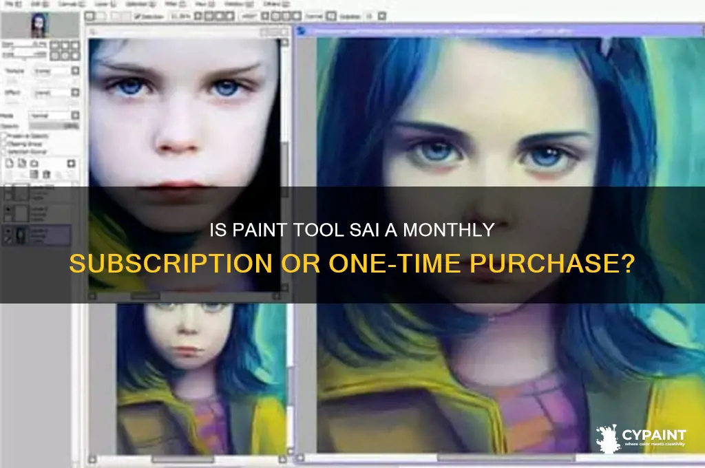 do you have to pay for paint tool sai monthly