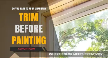 Primer for Unprimed Trim: To Paint or Not?