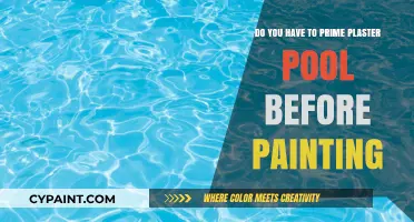 Primer for Plaster Pools: To Paint or Not?