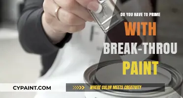 Break-Through Paint: Prime or Not?