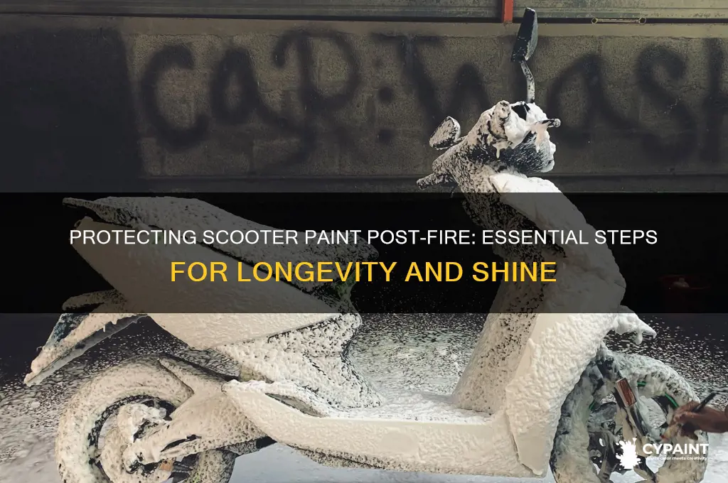 do you have to protect scooter paint after fire paint