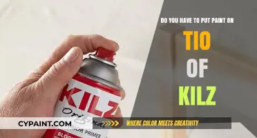 Can You Apply Paint Directly Over Kilz? Essential Tips Revealed
