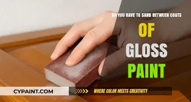 Sanding Between Gloss Paint Coats: Essential Step or Optional?