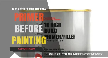 Sanding High Build Primer: Essential Step or Optional Before Painting?