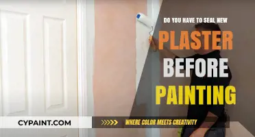 Sealing New Plaster: A Must Before Painting?