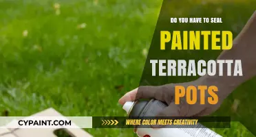 Should You Seal Painted Terracotta Pots? A Complete Guide