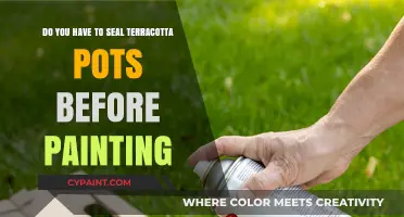 Terracotta Pots: Seal Before Painting?