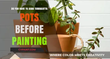 Terracotta Pot Painting: Soak for Better Results