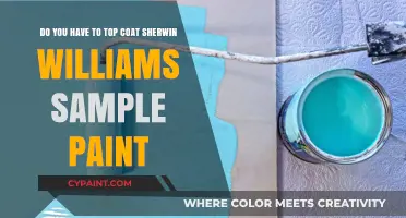 Should You Top Coat Sherwin Williams Sample Paint? Expert Tips
