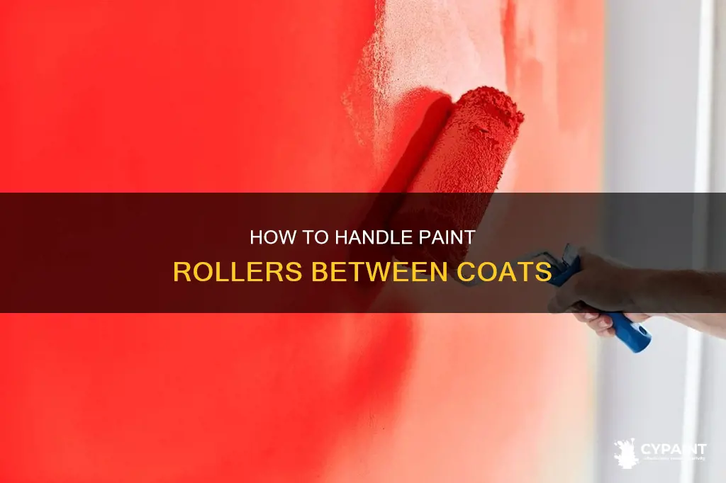 do you have to wash paint roller between coats