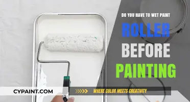 How to Prime Your Paint Roller for Perfect Results