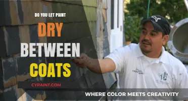 Should You Let Paint Dry Between Coats? Expert Tips for Flawless Results