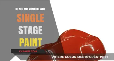Mixing Single Stage Paint: Tips, Tricks, and Best Practices Revealed