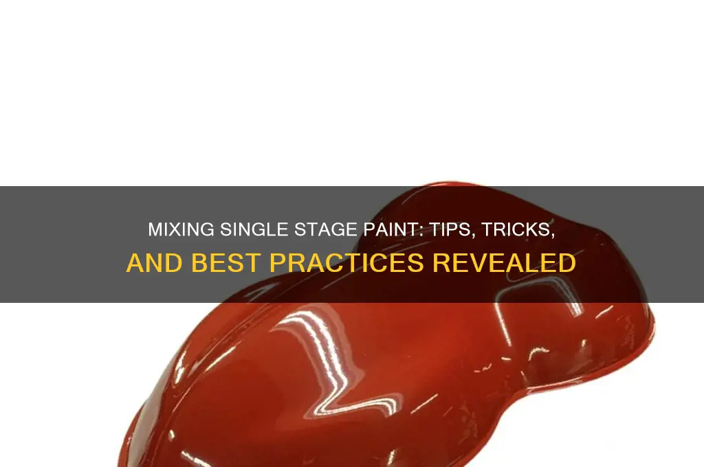 do you mix anything with single stage paint