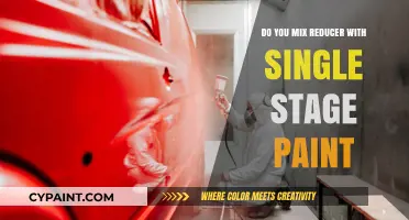 Mixing Reducer with Single Stage Paint: Essential Tips for Perfect Results