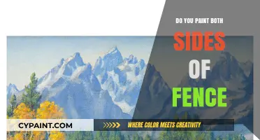 Should You Paint Both Sides of Your Fence? Pros and Cons Explained