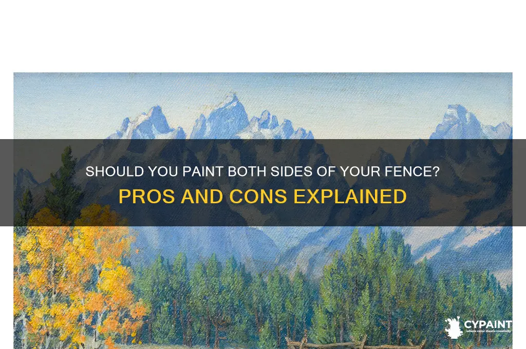 do you paint both sides of fence