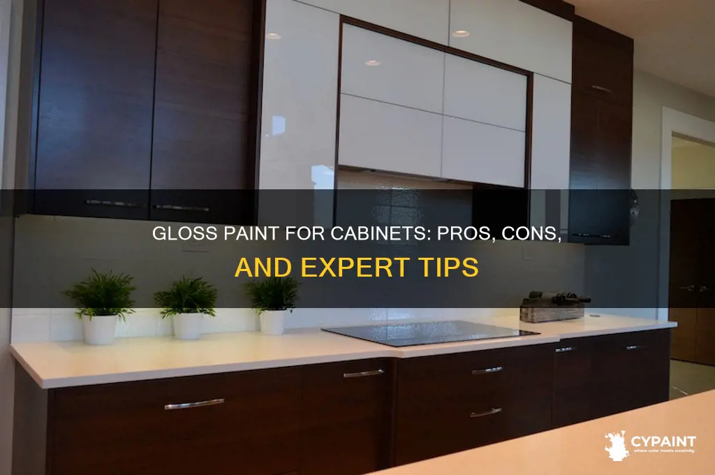 do you paint cabinetw with gloss paint