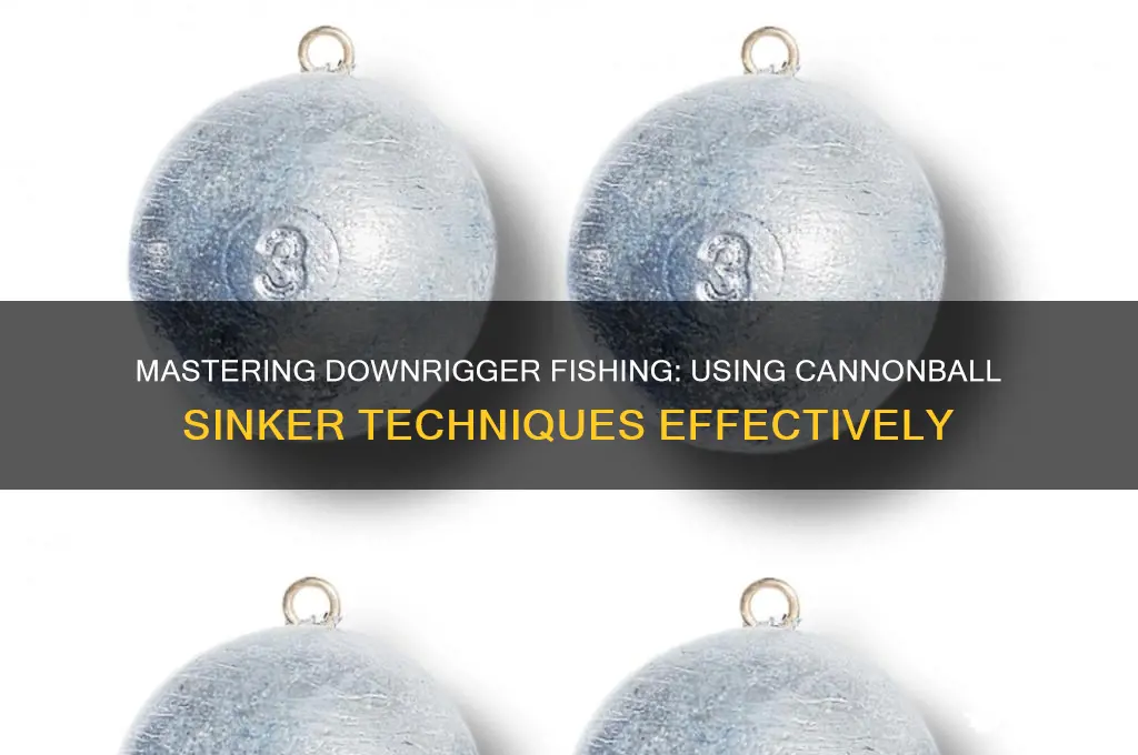 do you paint down rigger cannonball sinker