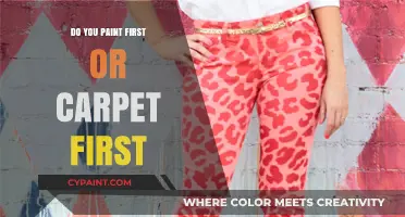 Paint or Carpet First? A Step-by-Step Renovation Guide