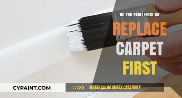 Paint or Replace Carpet First? A Step-by-Step Renovation Guide