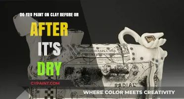 Painting Clay: Should You Apply Color Before or After Drying?