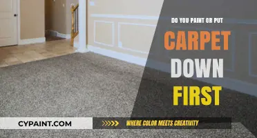 Paint or Carpet First? A Step-by-Step Guide to Renovating Your Space