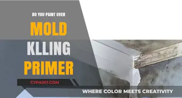 Can You Paint Over Mold-Killing Primer? Essential Tips and Insights