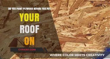 Should You Paint Plywood Before Installing Your Roof? Expert Tips