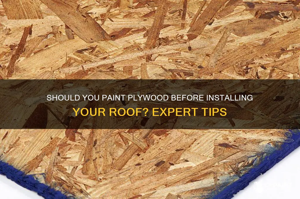 do you paint plywood before you put your roof on