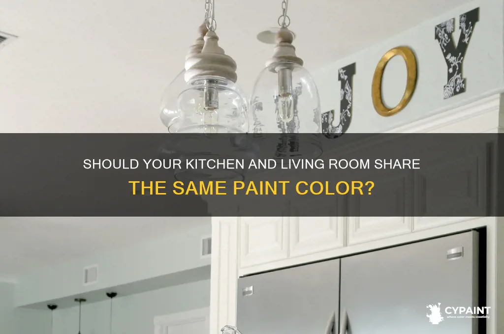 do you paint the kitchen the same as the livingroom