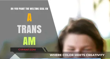 Painting the Welting Seal on a Trans Am: Tips and Techniques