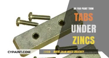 Should You Paint Trim Tabs Under Zincs? Expert Insights and Tips