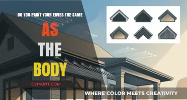 Should Eaves Match Your Home's Body Color? Painting Tips Revealed