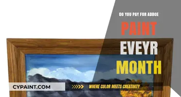 Adobe Paint Subscription: Monthly Cost or One-Time Purchase?