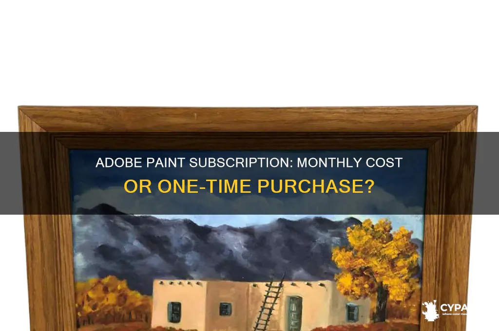 do you pay for adboe paint eveyr month