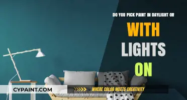 Choosing Paint: Daylight vs. Artificial Light – Which is Best?