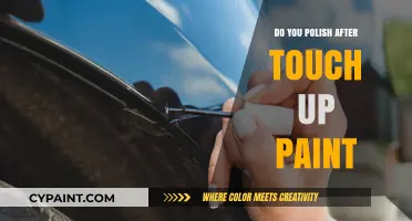 Should You Polish After Touch-Up Paint? Expert Tips for Flawless Results